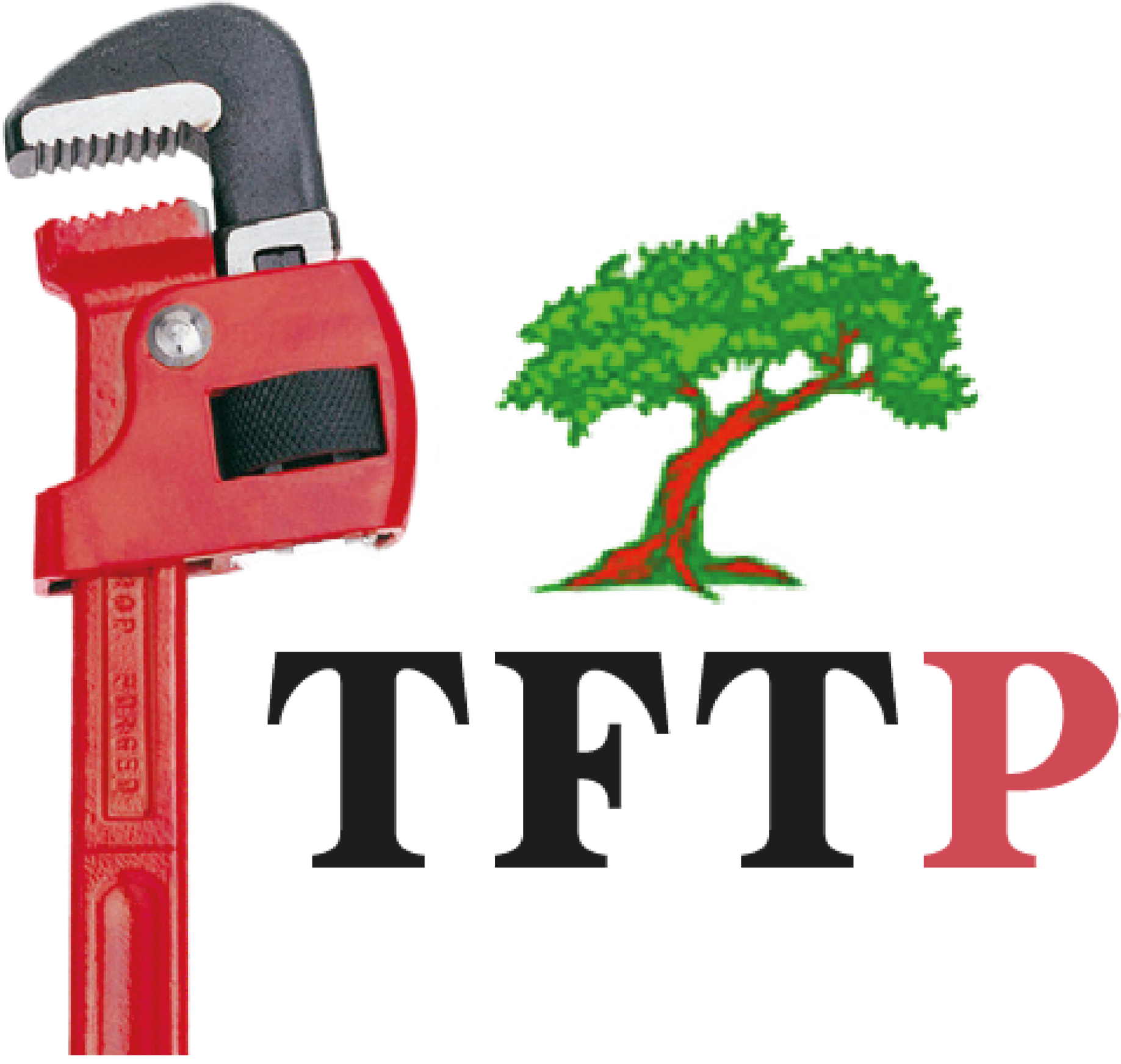 Logo_TFTP_Transparent_(1)